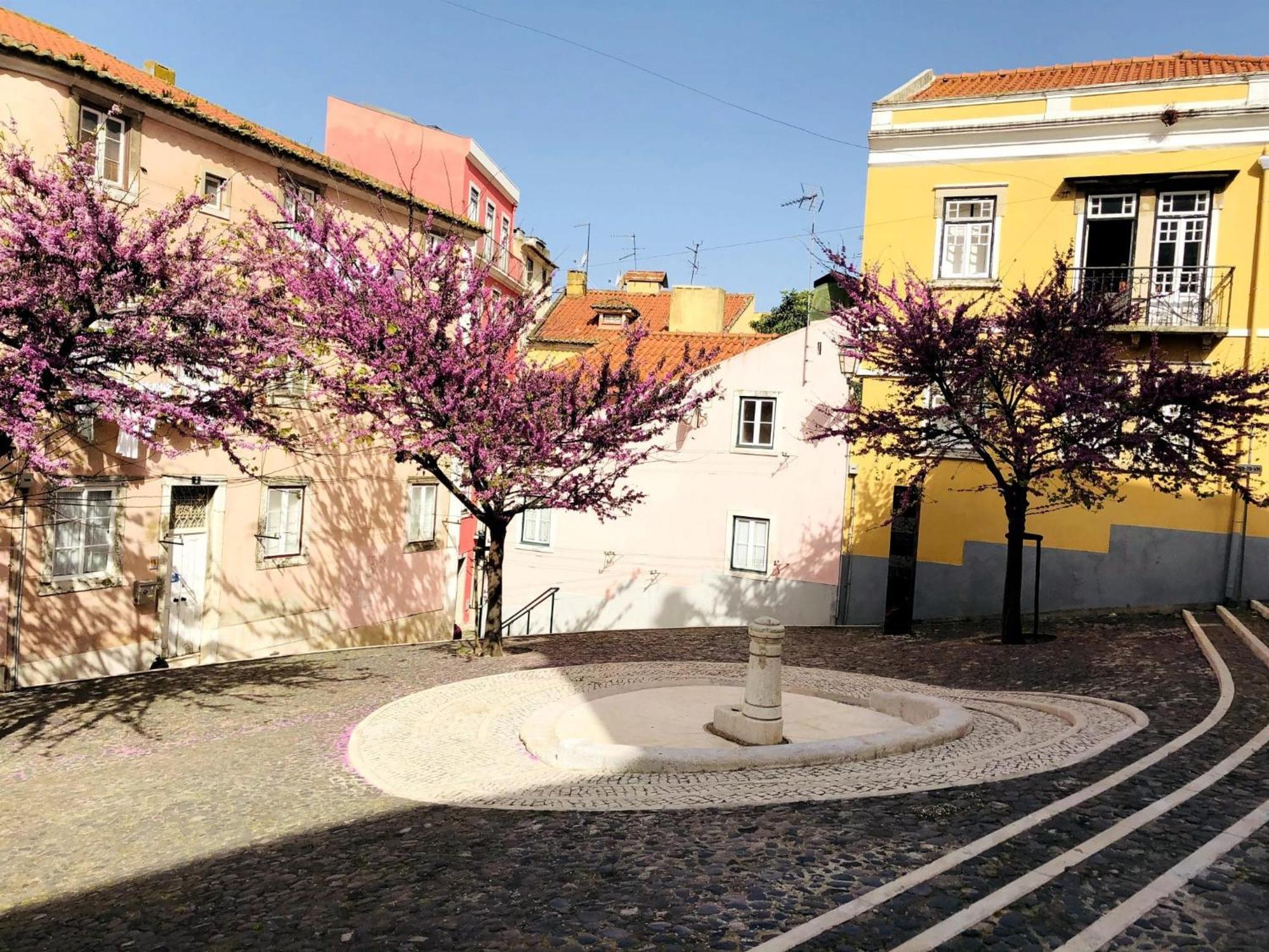 Apartamento Mouraria Smart